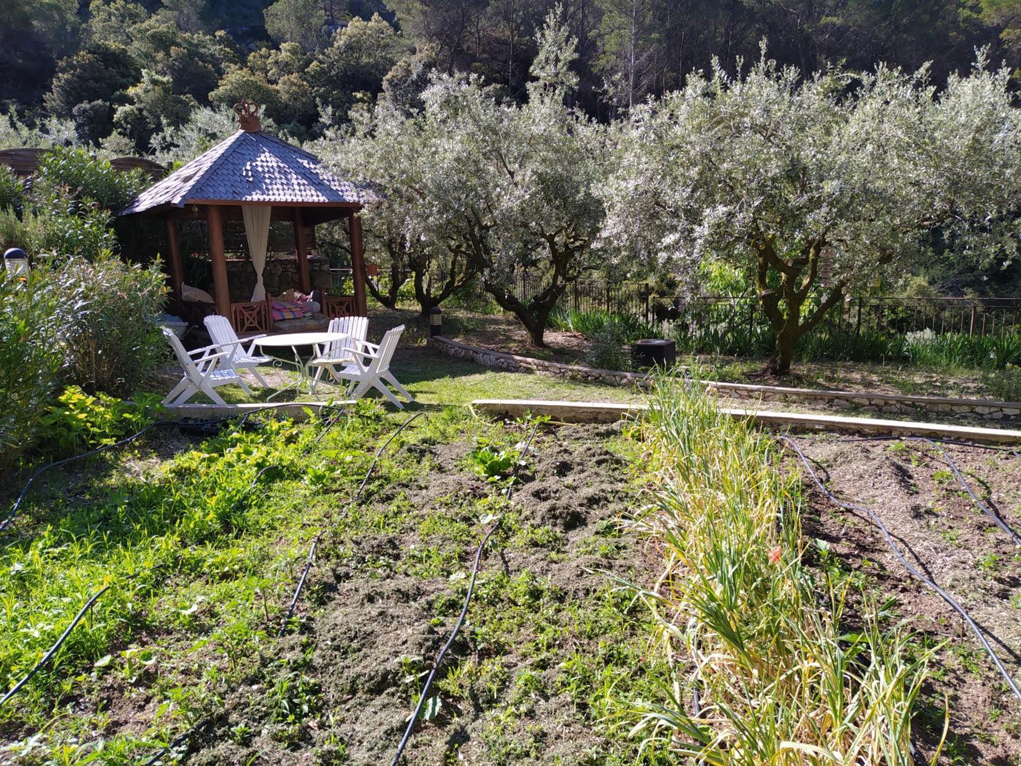 Le Frangipanier Hotel Le Barroux Bilik gambar